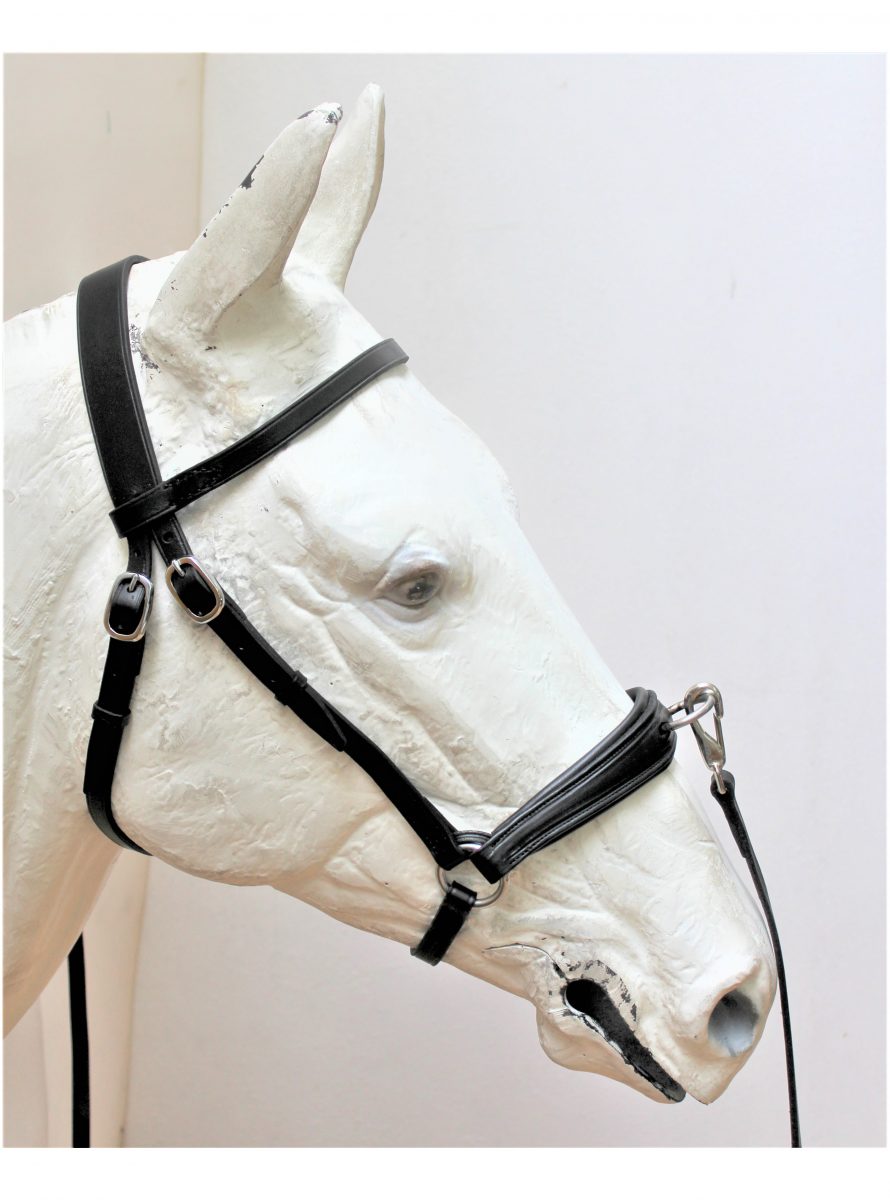 c0309_Sarrilhao_Presentation_halter2.jpg