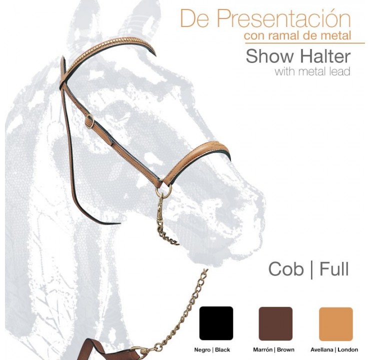 210191930101-PRESENTATION-HALTER.jpg