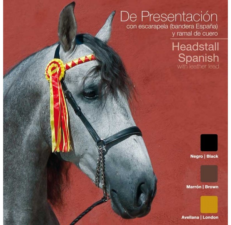 2101934-presentation-halter.jpg