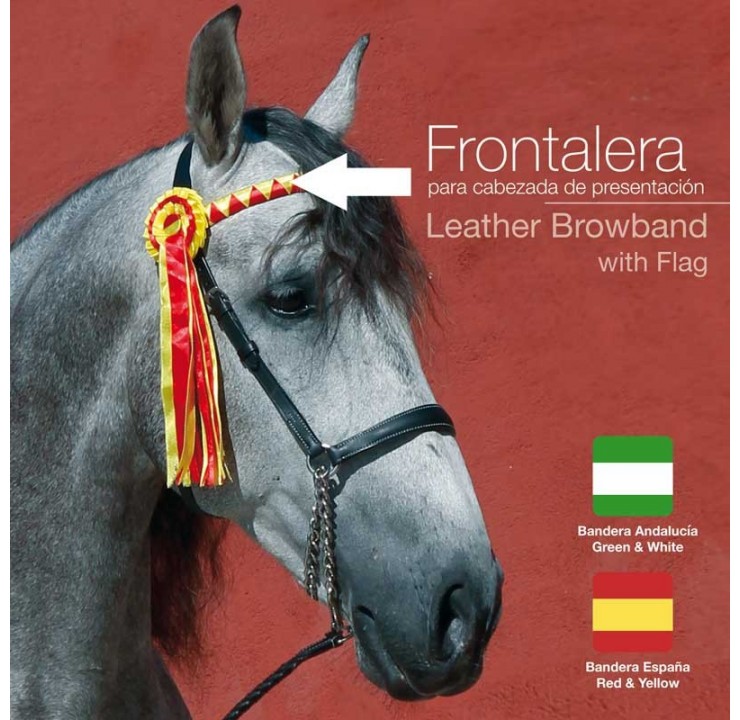 21044070029-LEATHER-BROWBAND-W-SPANISH.jpg