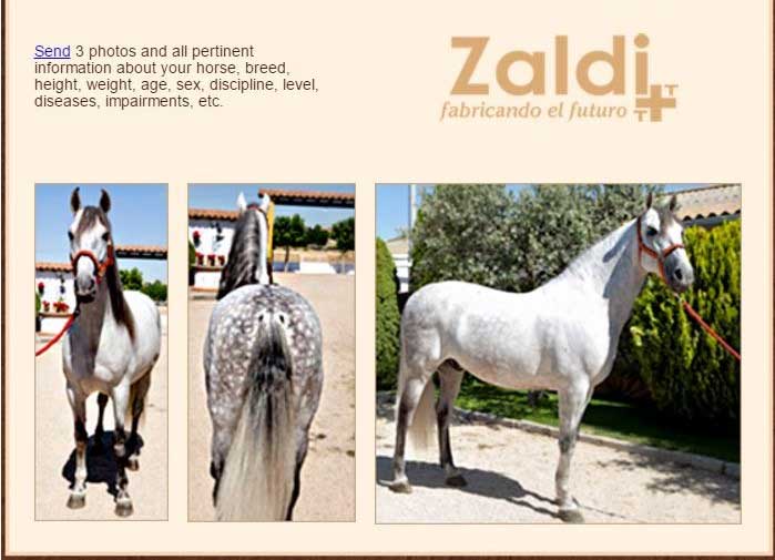 zaldi saddle fit conformation photos