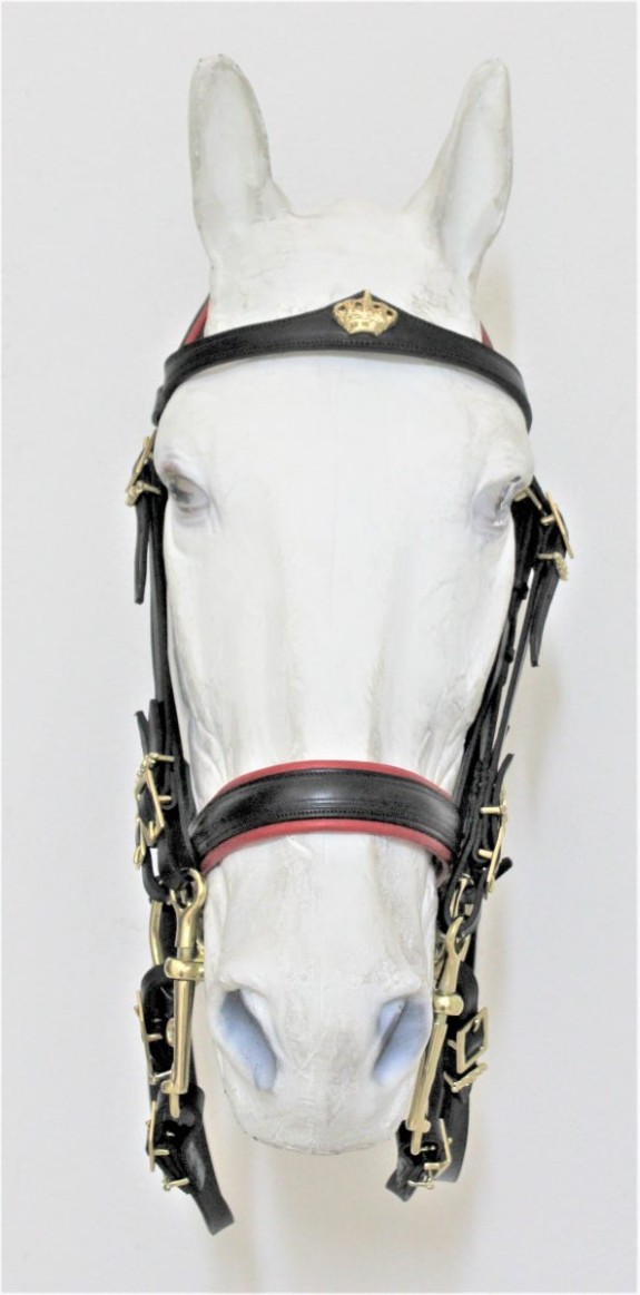 0006 Mixed Double Bridle F Crown