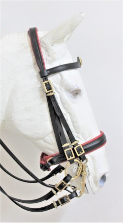 0006 Mixed Double Bridle F Crown