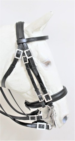 0602  Double FL Mixed bridle