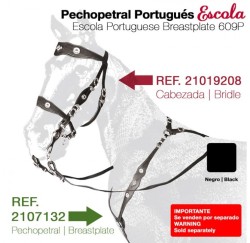 21071320 Escola Portuguese breastplate