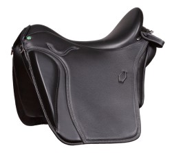 999 Geminis dressage