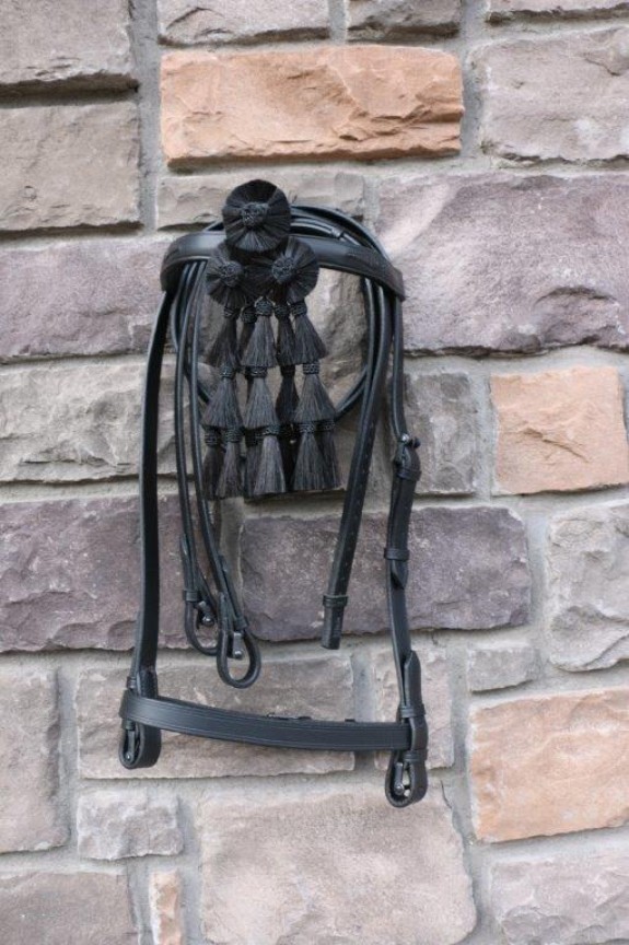 167  Vaquera Bridle 