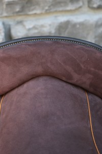 IMG_9626.jpg