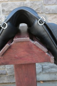 IMG_9662.jpg