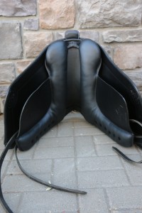 IMG_9672.jpg
