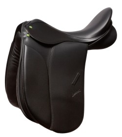 532 Lord dressage