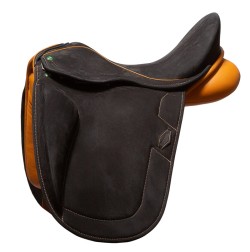 742 LUD dressage 