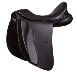 652 Neptuno dressage