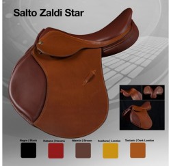 00139 Zaldi Star