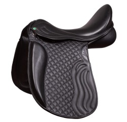 538 Troya dressage