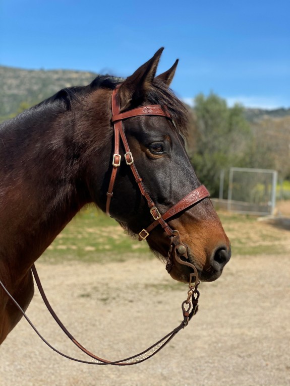 2030 Vilafranca tooled bridle