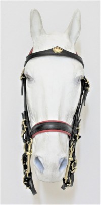0006 Mixed Double Bridle F Crown - Image 2