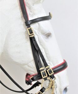 0006 Mixed Double Bridle F Crown