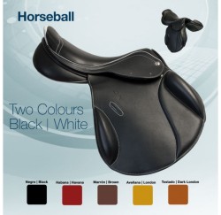 00132 Horseball