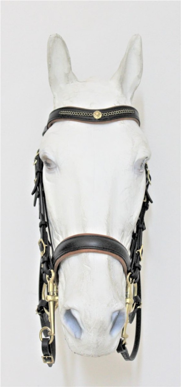 3031 Mixed Where Double Bridle - Image 3
