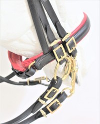 0006 Mixed Double Bridle F Crown - Image 3