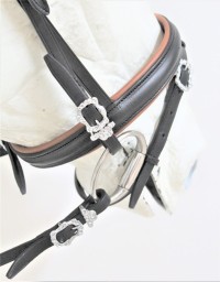 0065 Mixed English Baroque - Image 2