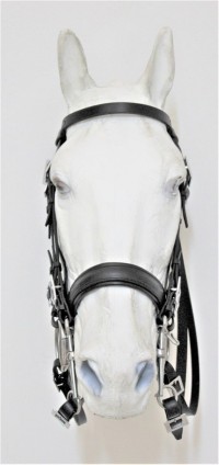 0602 Double FL Mixed Bridle - Image 3