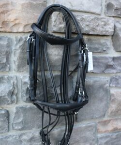 2021 German Double Bridle