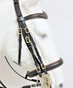 3031 Mixed Where Double Bridle