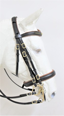 3031 Mixed Where Double Bridle
