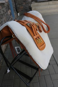 DIDIER Working Equitation Custom SET - Image 19
