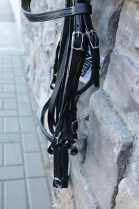 2021 German Double Bridle - Image 5