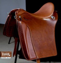 00122 Lusitanus - Image 5