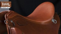 00122 Lusitanus - Image 8