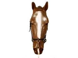 00307 Flexible 3 ring Serreta French Cavesson