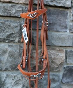 0058 Mixed Cortesia German Bridle