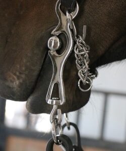 21013321250 Portuguese Working Equitation Bit