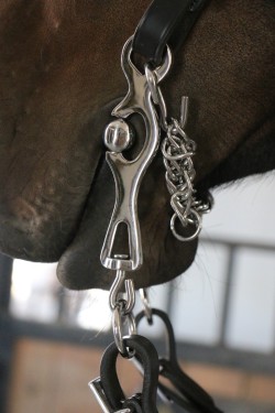 21013321250 Portuguese Working Equitation Bit