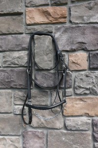 2101985 Zaldi Extra Presentation Halter - Image 2