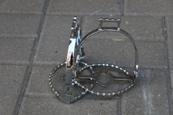 21039410 Argola Dressage Stirrups