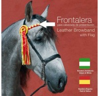 21019340 Presentation Halter with Spanish Ribbon - Image 2