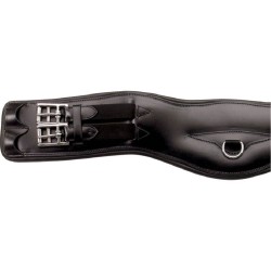 53101GR Shaped Girth