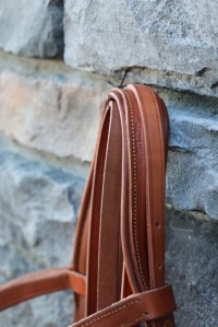 0058 Mixed Cortesia German Bridle - Image 4