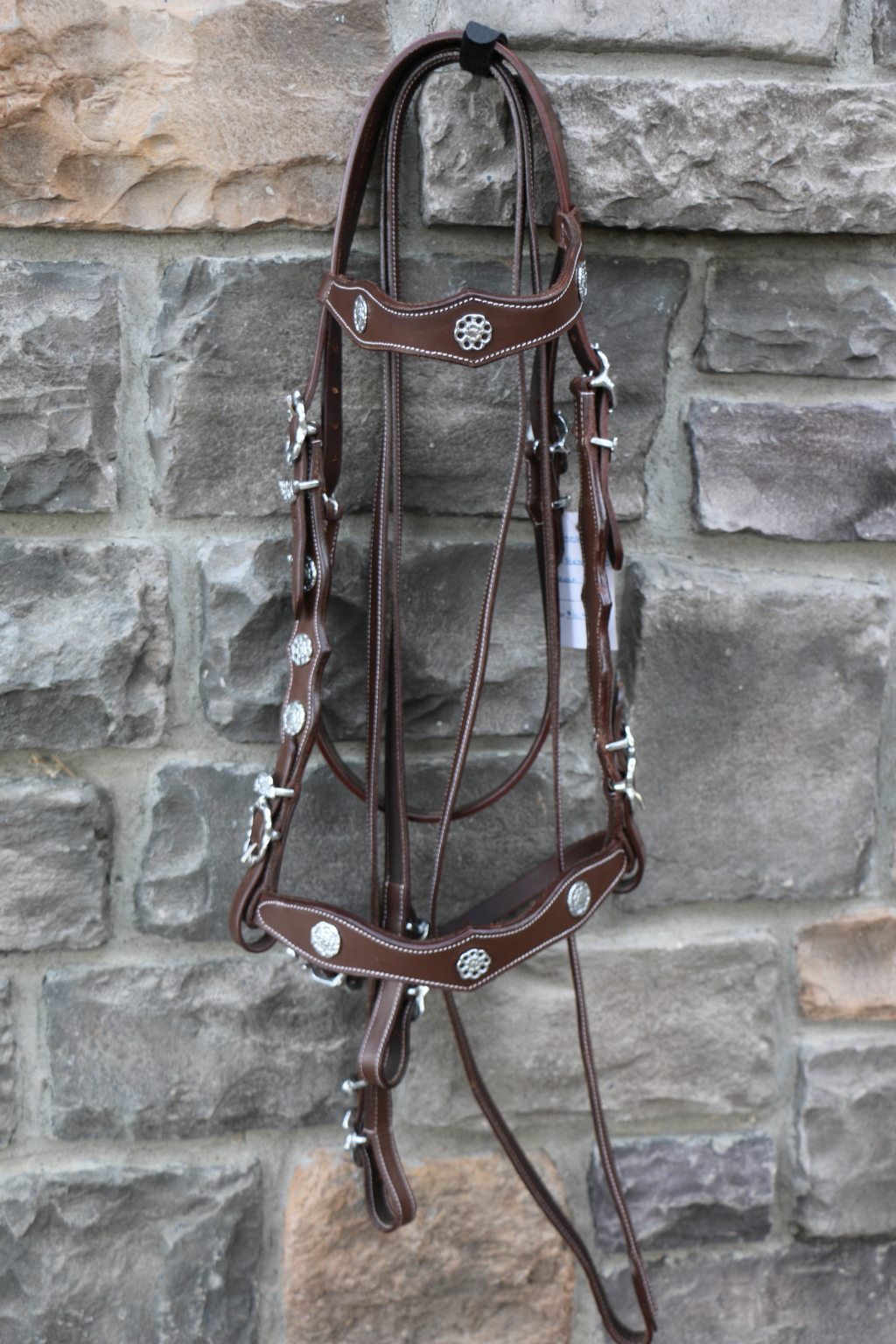 2107133 Portuguese Cortesia Economy Breastcollar - Image 2