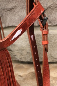 3033 Portuguese Fringe Bridle - Image 6
