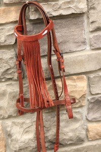 3033 Portuguese Fringe Bridle - Image 7