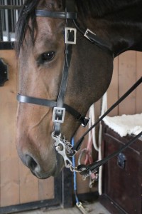 21013321250 Portuguese Working Equitation Bit - Image 3