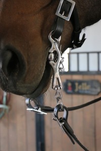 21013321250 Portuguese Working Equitation Bit - Image 4
