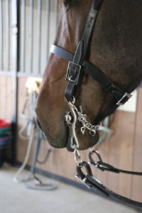 21013321250 Portuguese Working Equitation Bit - Image 5