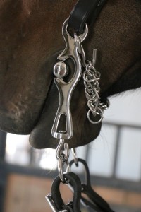 21013321250 Portuguese Working Equitation Bit - Image 6